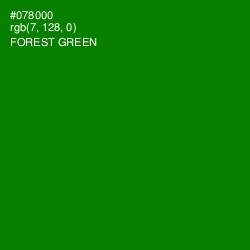 #078000 - Forest Green Color Image